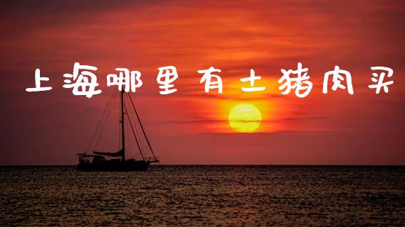 上海哪里有土猪肉买_https://www.apanben.com_国际财经_第1张