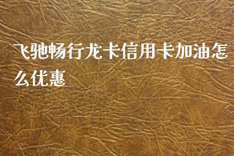 飞驰畅行龙卡信用卡加油怎么优惠_https://www.apanben.com_国际财经_第1张