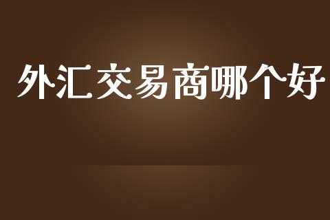 外汇交易商哪个好_https://www.apanben.com_期货学院_第1张