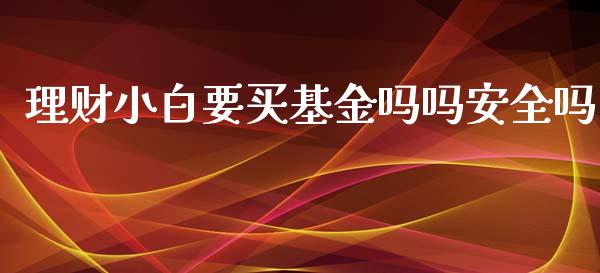 理财小白要买基金吗吗安全吗_https://www.apanben.com_财经资讯_第1张