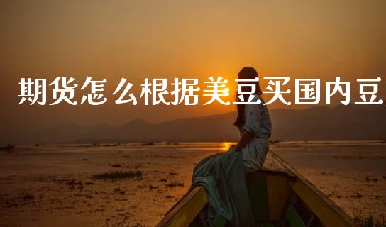 期货怎么根据美豆买国内豆_https://www.apanben.com_国际期货_第1张
