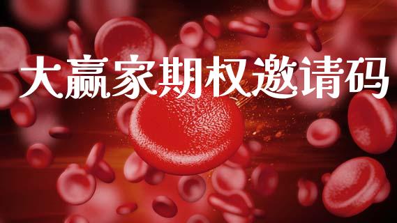 大赢家期权邀请码_https://www.apanben.com_国际财经_第1张