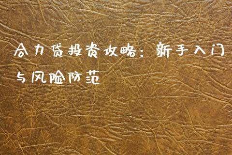 合力贷投资攻略：新手入门与风险防范_https://www.apanben.com_股市分析_第1张