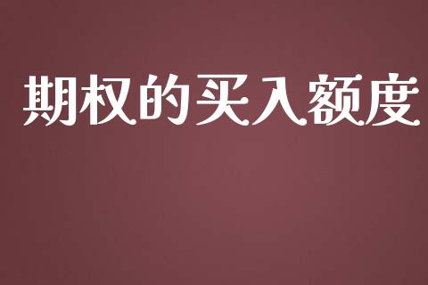 期权的买入额度_https://www.apanben.com_国际财经_第1张