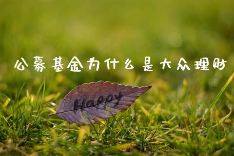 公募基金为什么是大众理财_https://www.apanben.com_财经资讯_第1张