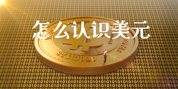怎么认识美元_https://www.apanben.com_股票怎么玩_第1张