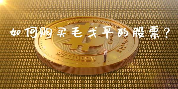 如何购买毛戈平的股票？_https://www.apanben.com_期货学院_第1张