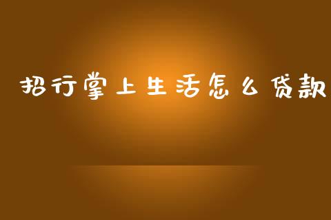 招行掌上生活怎么贷款_https://www.apanben.com_国际财经_第1张