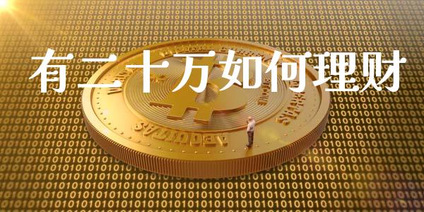 有二十万如何理财_https://www.apanben.com_在线喊单_第1张