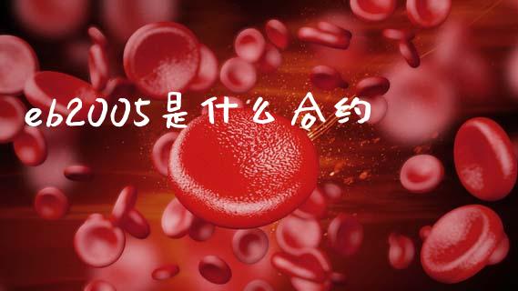 eb2005是什么合约_https://www.apanben.com_股市分析_第1张