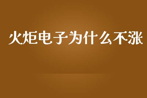 火炬电子为什么不涨_https://www.apanben.com_国际期货_第1张