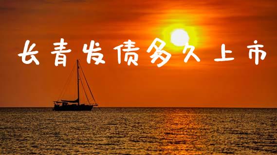 长青发债多久上市_https://www.apanben.com_财经资讯_第1张