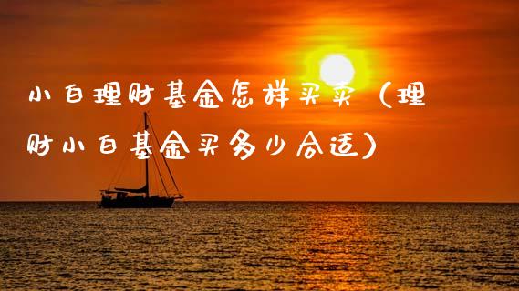小白理财基金怎样买卖（理财小白基金买多少合适）_https://www.apanben.com_国际财经_第1张