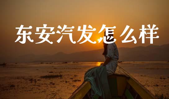 东安汽发怎么样_https://www.apanben.com_股市分析_第1张