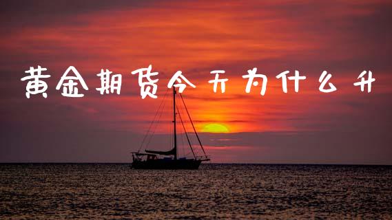 黄金期货今天为什么升_https://www.apanben.com_期货学院_第1张