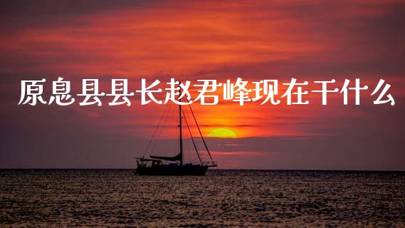 原息县县长赵君峰现在干什么_https://www.apanben.com_在线喊单_第1张