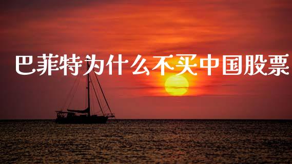 巴菲特为什么不买中国股票_https://www.apanben.com_期货学院_第1张