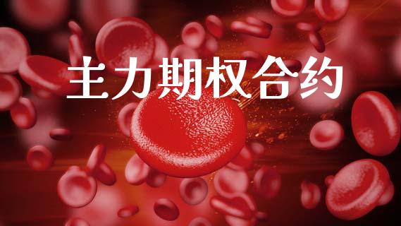 主力期权合约_https://www.apanben.com_财经资讯_第1张