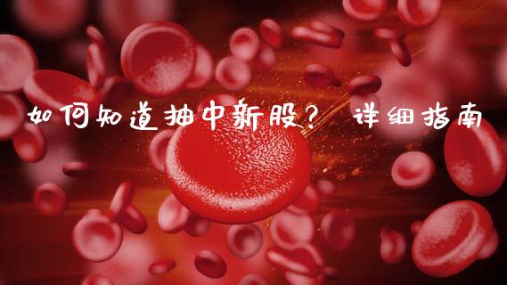 如何知道抽中新股？ 详细指南_https://www.apanben.com_股市分析_第1张