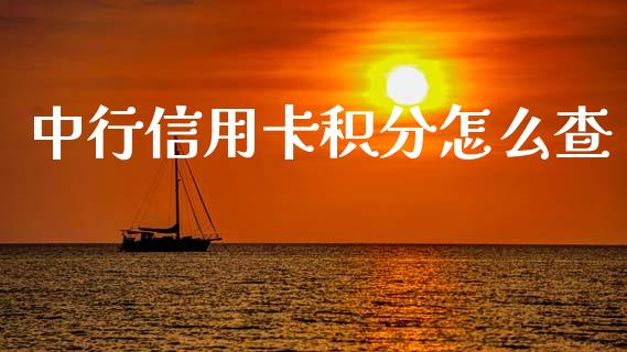 中行信用卡积分怎么查_https://www.apanben.com_国际财经_第1张