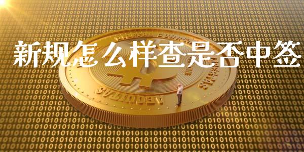 新规怎么样查是否中签_https://www.apanben.com_股市分析_第1张