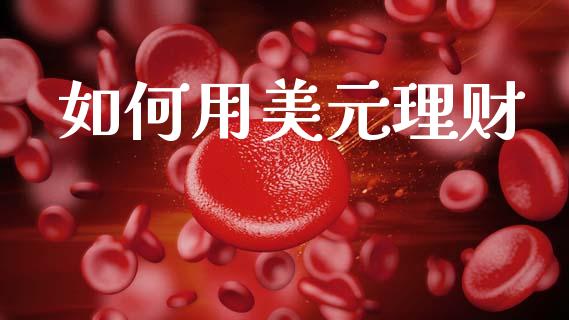 如何用美元理财_https://www.apanben.com_国际财经_第1张