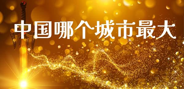 中国哪个城市最大_https://www.apanben.com_期货学院_第1张