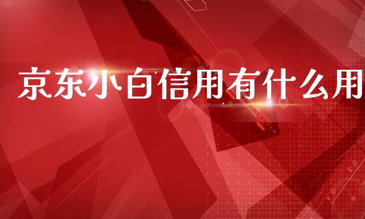 京东小白信用有什么用_https://www.apanben.com_国际财经_第1张