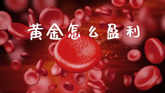 黄金怎么盈利_https://www.apanben.com_股市指导_第1张