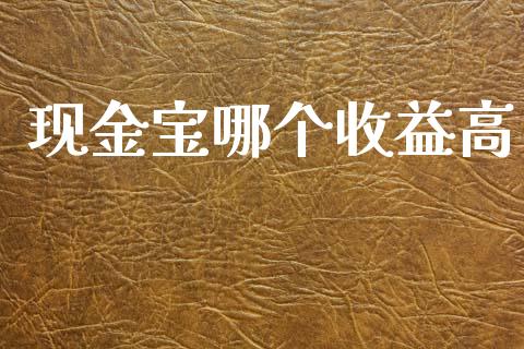 现金宝哪个收益高_https://www.apanben.com_国际期货_第1张