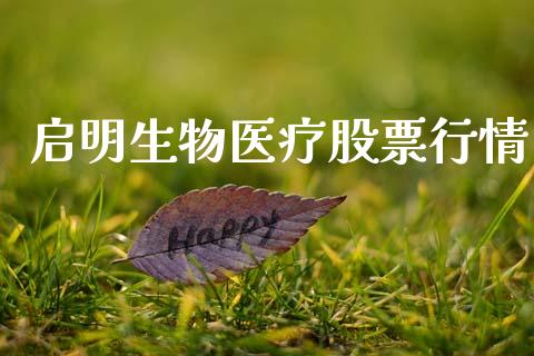 启明生物医疗股票行情_https://www.apanben.com_股市指导_第1张