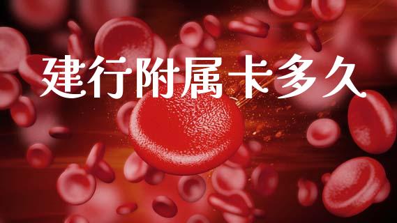 建行附属卡多久_https://www.apanben.com_期货学院_第1张