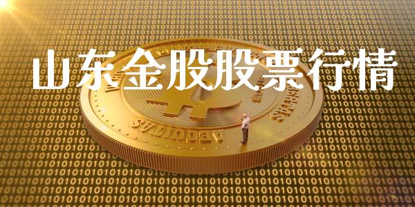 山东金股股票行情_https://www.apanben.com_股市分析_第1张