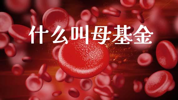 什么叫母基金_https://www.apanben.com_期货学院_第1张
