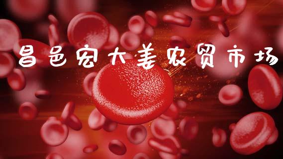昌邑宏大姜农贸市场_https://www.apanben.com_国际财经_第1张