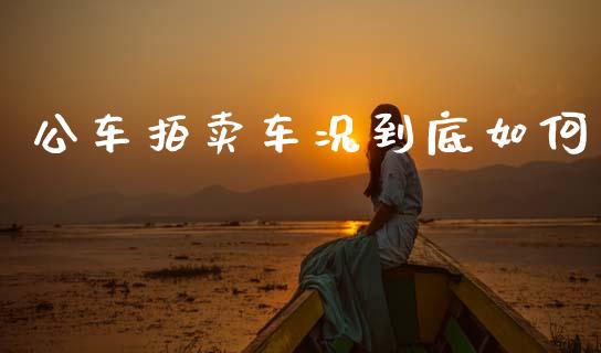 公车拍卖车况到底如何_https://www.apanben.com_国际财经_第1张