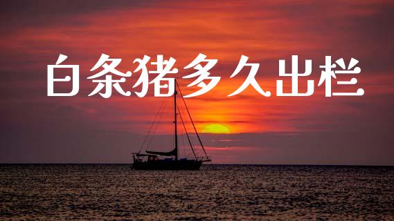 白条猪多久出栏_https://www.apanben.com_股市分析_第1张