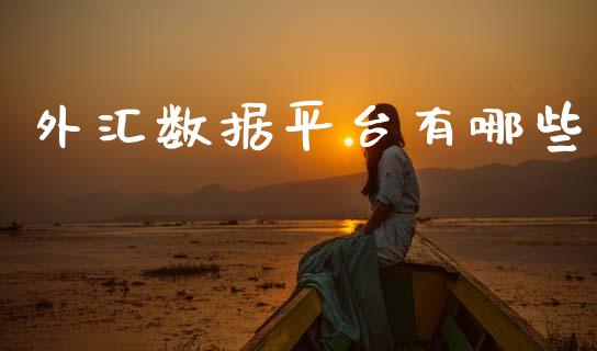 外汇数据平台有哪些_https://www.apanben.com_股票怎么玩_第1张