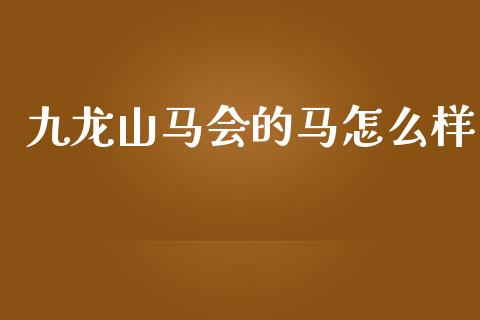 九龙山马会的马怎么样_https://www.apanben.com_在线喊单_第1张