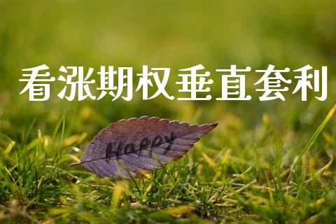 看涨期权垂直套利_https://www.apanben.com_期货学院_第1张
