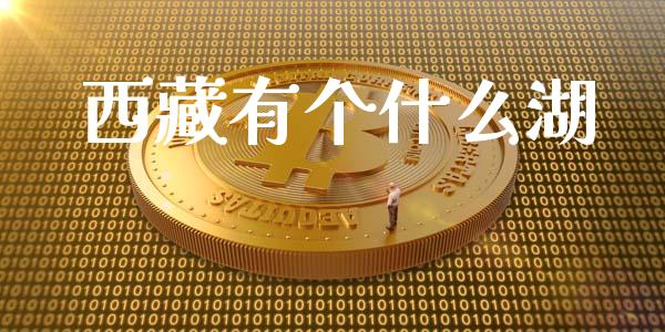 西藏有个什么湖_https://www.apanben.com_股市指导_第1张