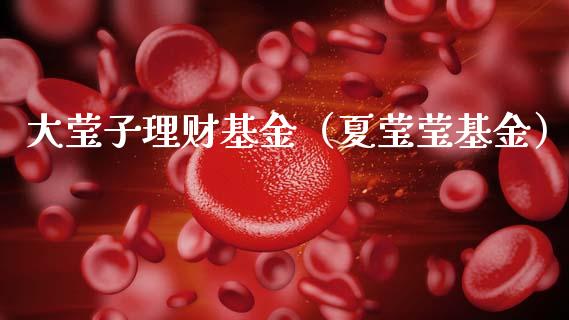 大莹子理财基金（夏莹莹基金）_https://www.apanben.com_财经资讯_第1张