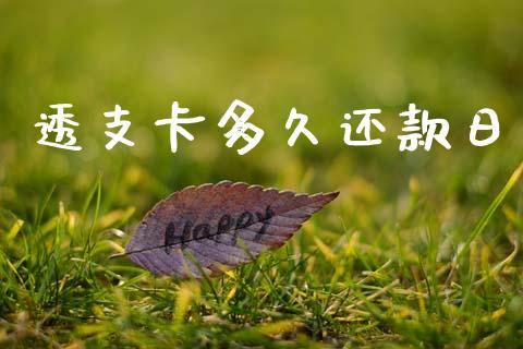 透支卡多久还款日_https://www.apanben.com_国际期货_第1张