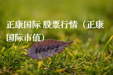 正康国际 股票行情（正康国际市值）_https://www.apanben.com_股票怎么玩_第1张
