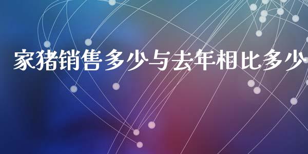 家猪销售多少与去年相比多少_https://www.apanben.com_国际财经_第1张