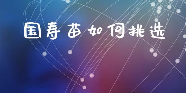 国寿苗如何挑选_https://www.apanben.com_股市分析_第1张