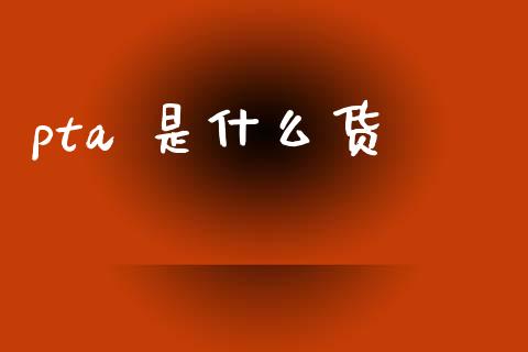 pta 是什么货_https://www.apanben.com_期货学院_第1张