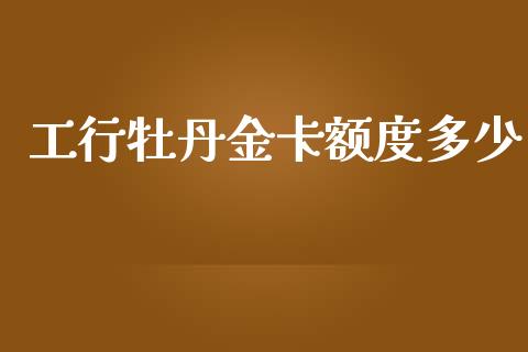 工行牡丹金卡额度多少_https://www.apanben.com_国际期货_第1张