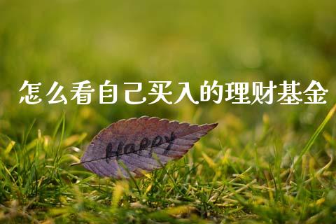 怎么看自己买入的理财基金_https://www.apanben.com_国际财经_第1张