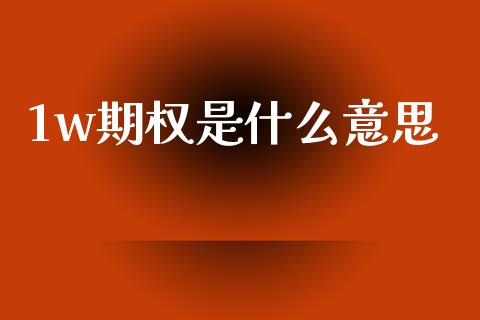 1w期权是什么意思_https://www.apanben.com_股票怎么玩_第1张